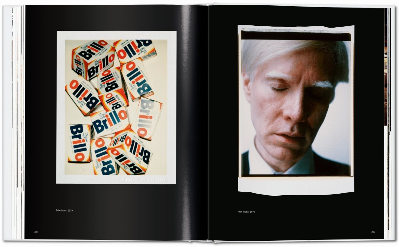 Andy Warhol. Polaroids 1958-1987 - Image 7 de 8