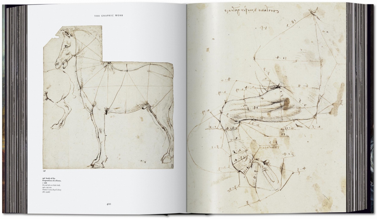 Leonardo. The Complete Paintings and Drawings - Image 14 of 15