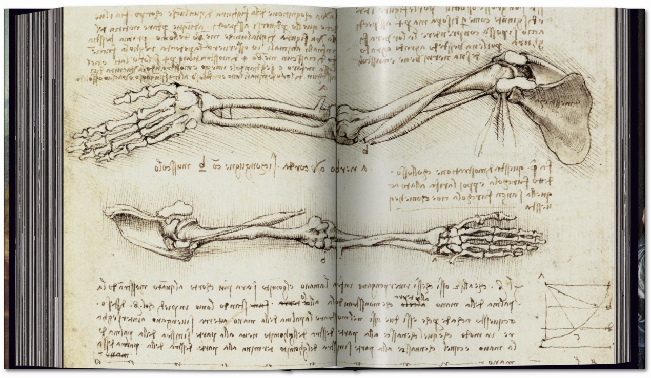 Leonardo. The Complete Paintings and Drawings - Image 15 of 15