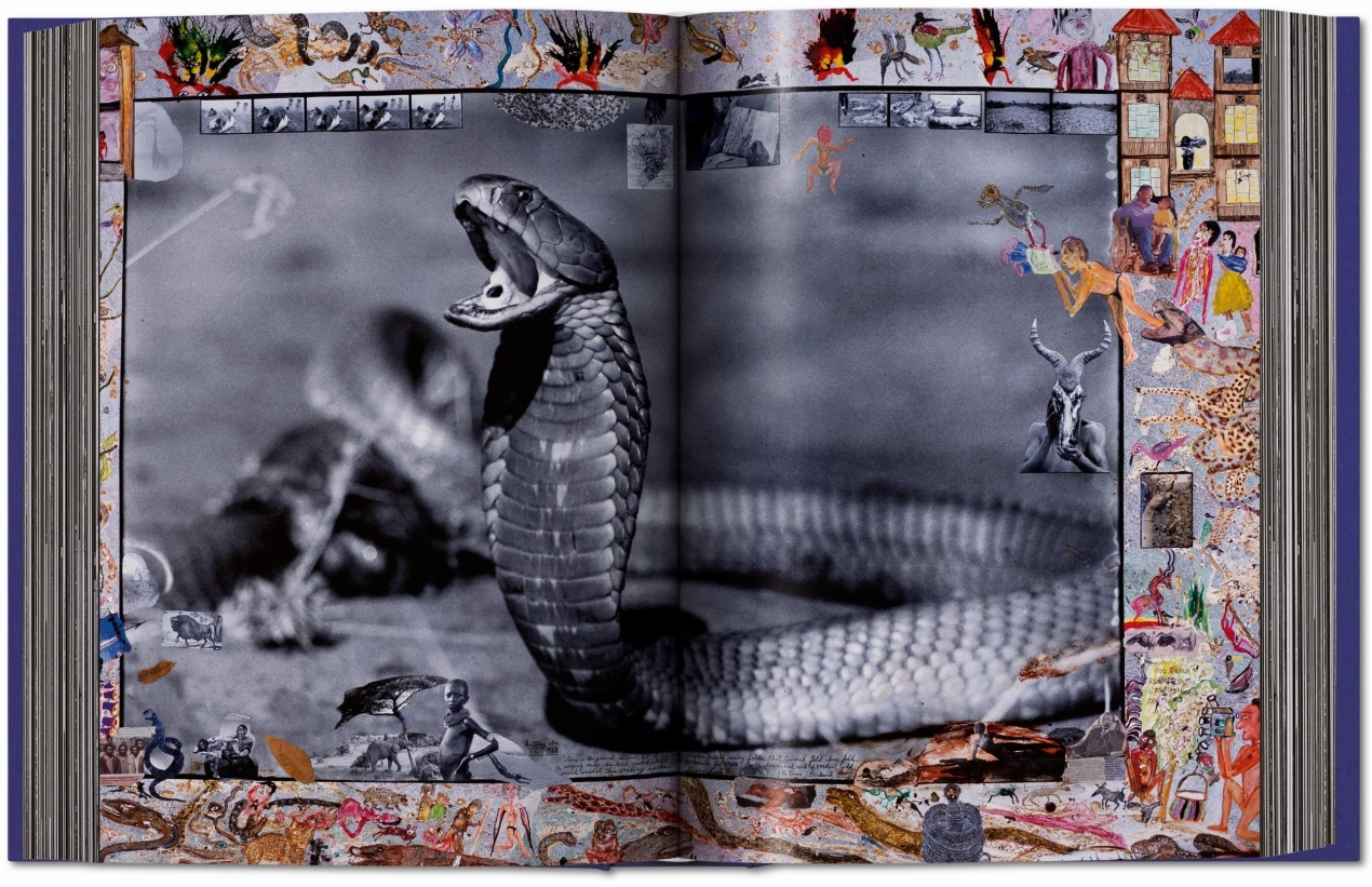 Peter Beard - Image 7 de 14