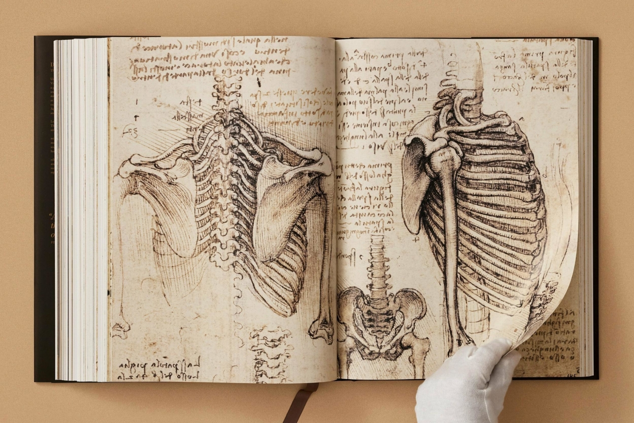 Leonardo. Obra pictórica completa y obra gráfica - Imagen 27 de 31