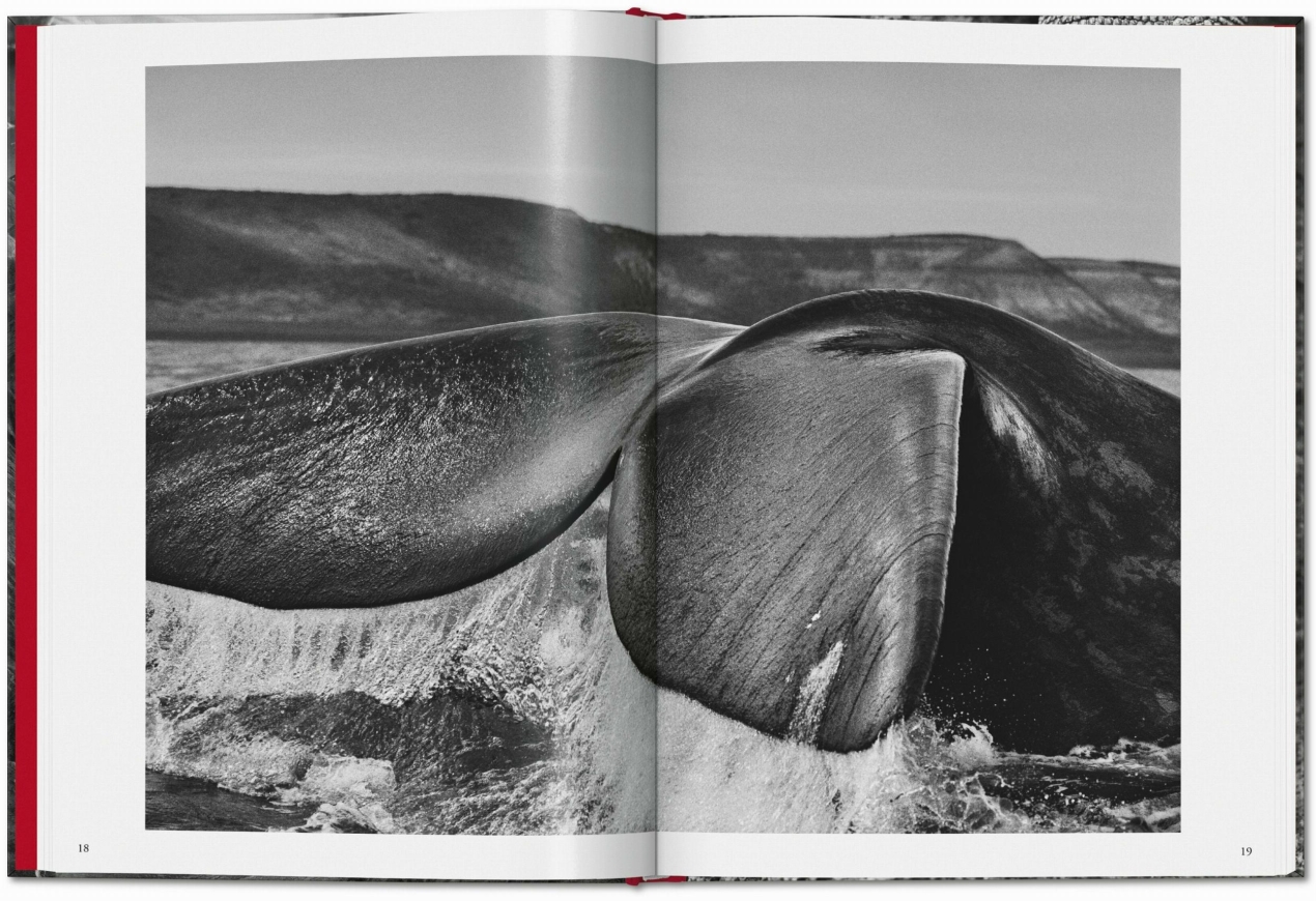 Sebastião Salgado. Genesis - Image 3 of 7