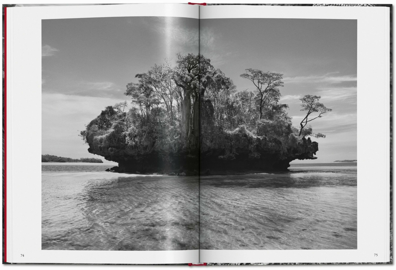 Sebastião Salgado. Genesis - Image 6 of 7