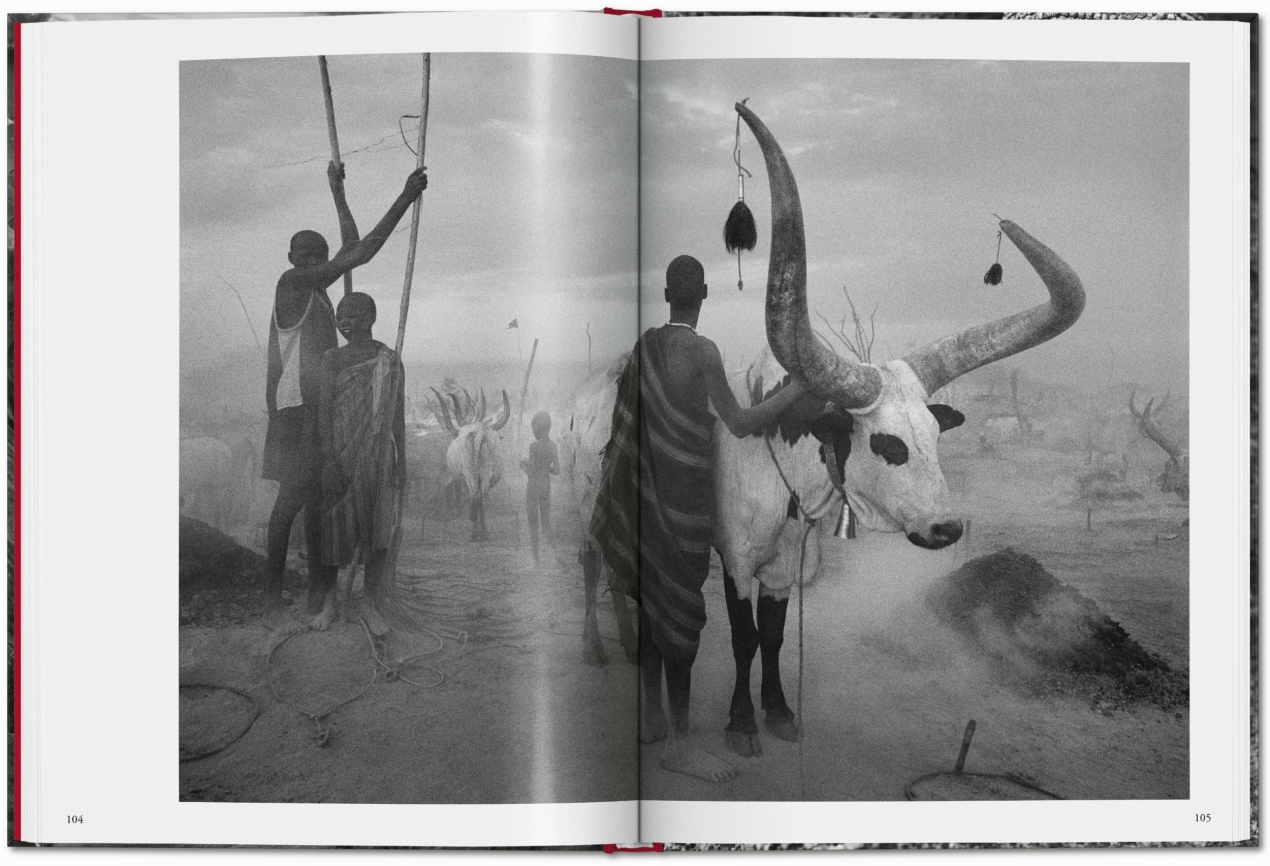 Sebastião Salgado. Genesis - Image 7 of 7