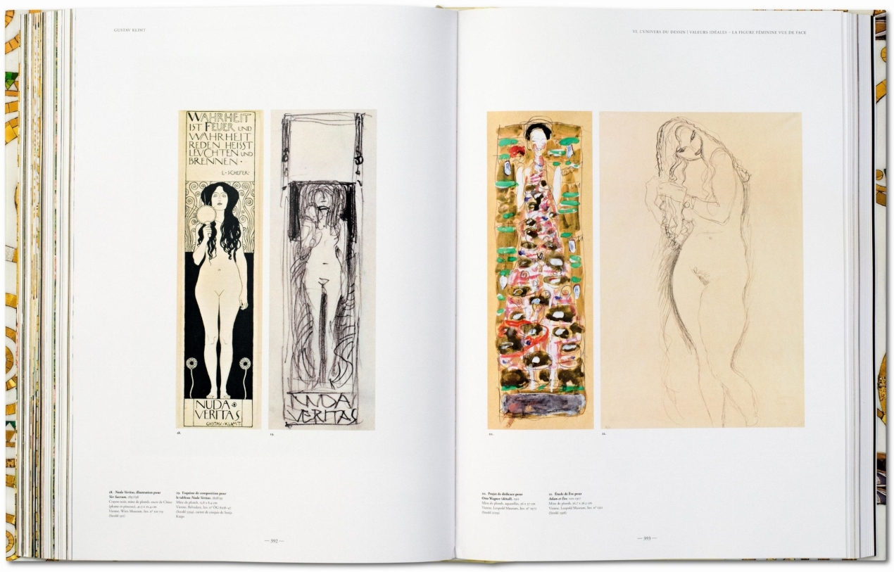 Gustav Klimt. The Complete Paintings - Immagine 11 di 11