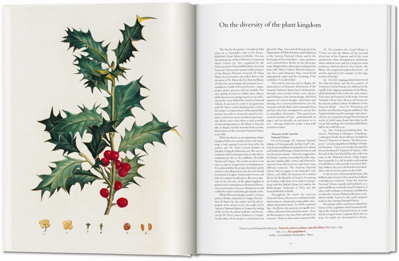 A Garden Eden. Masterpieces of Botanical Illustration - Immagine 2 di 7