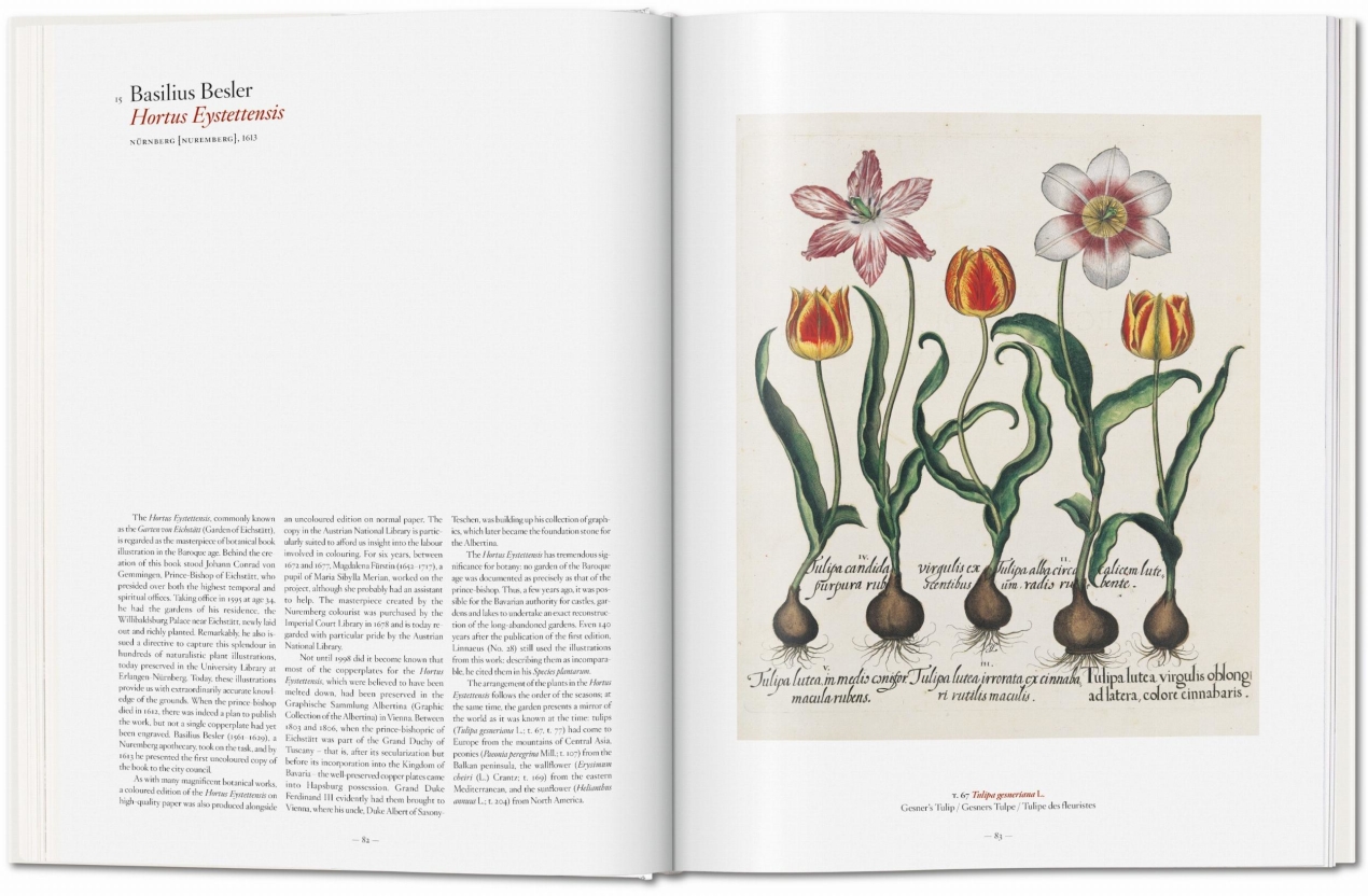 A Garden Eden. Masterpieces of Botanical Illustration - Immagine 3 di 7