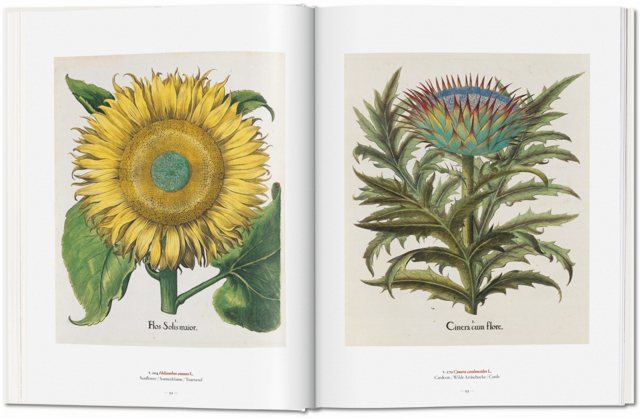A Garden Eden. Masterpieces of Botanical Illustration - Immagine 4 di 7