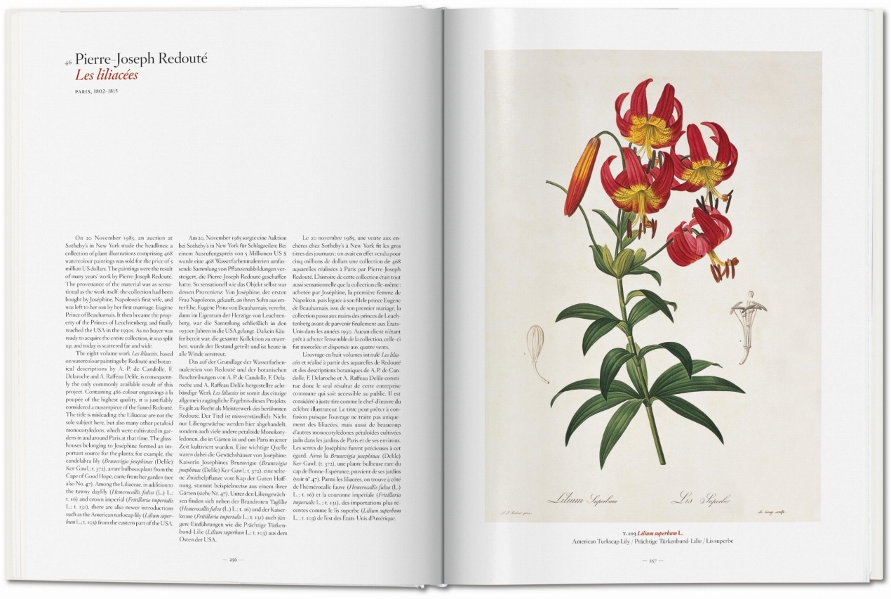 A Garden Eden. Masterpieces of Botanical Illustration - Immagine 6 di 7
