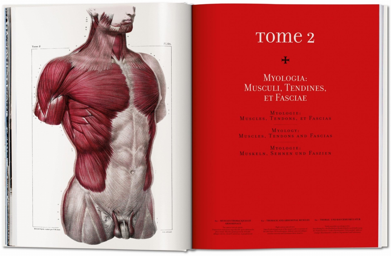 Bourgery. Atlas of Human Anatomy and Surgery - Bild 3 von 8