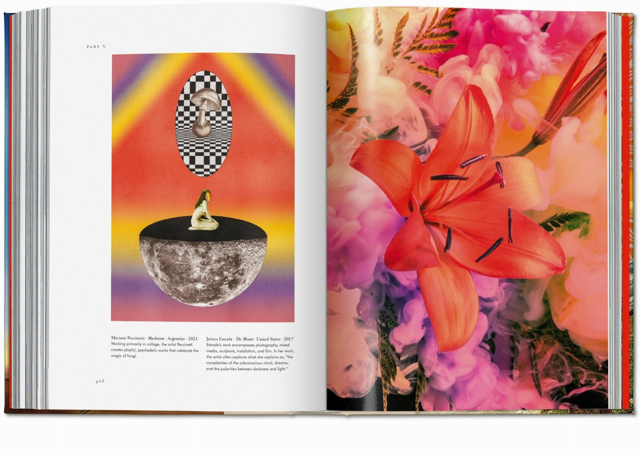 La Magia de Las Plantas. La Biblioteca de Esoterismo - Imagen 13 de 16