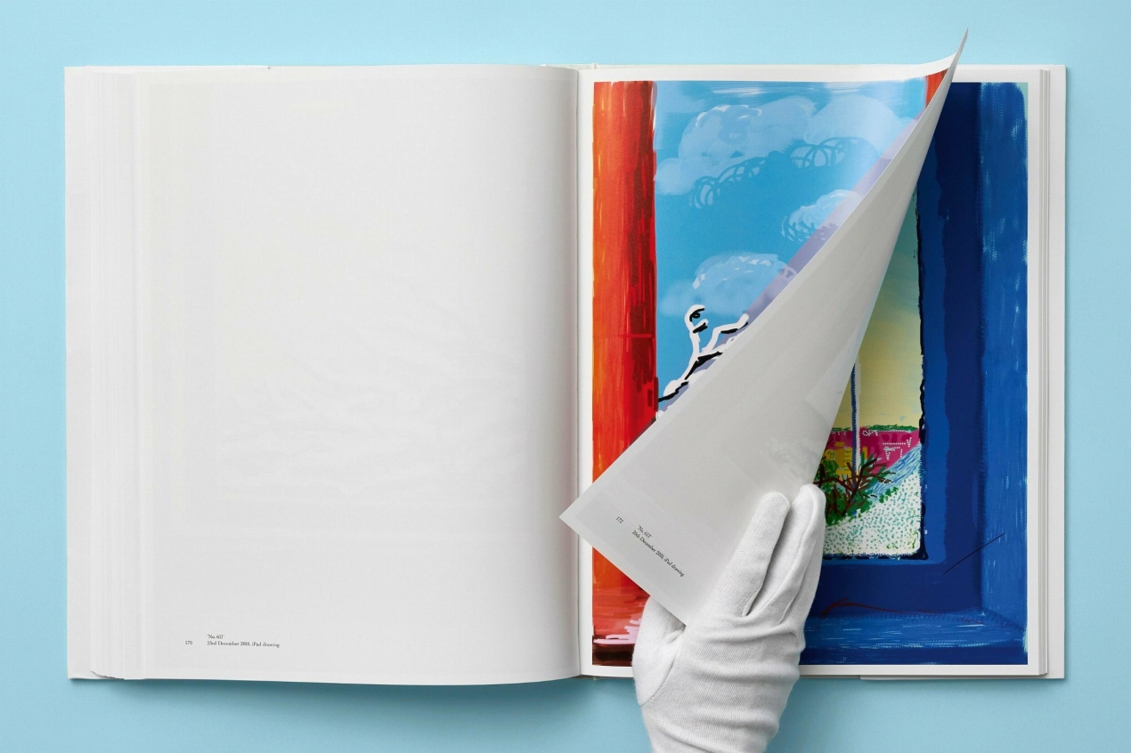 David Hockney. My Window - Immagine 13 di 20