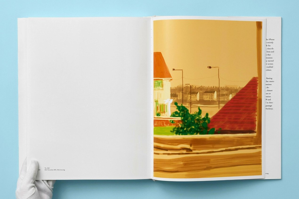 David Hockney. My Window - Immagine 16 di 20