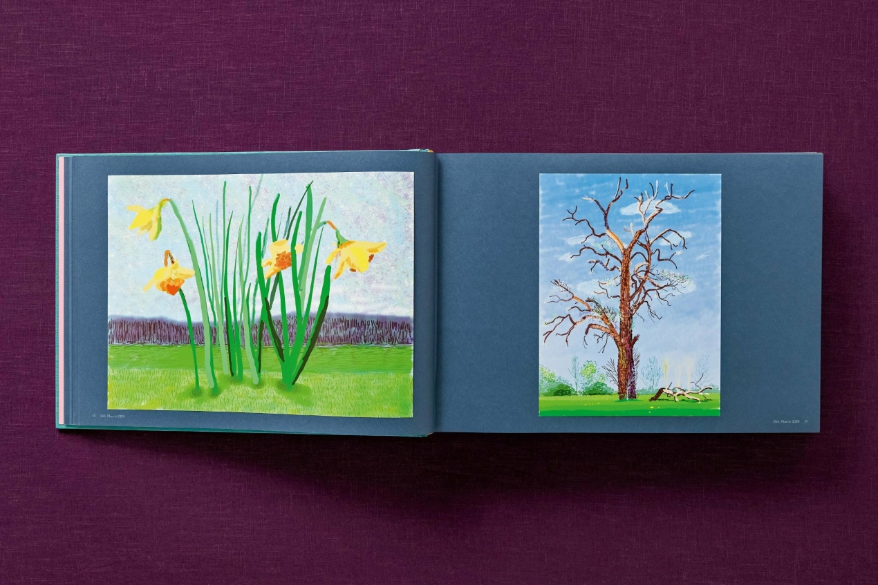 David Hockney. 220 for 2020. Art Edition No. 301–400 ‘My Second Drawing of Beuvron-en-Auge’ - Image 14 de 45