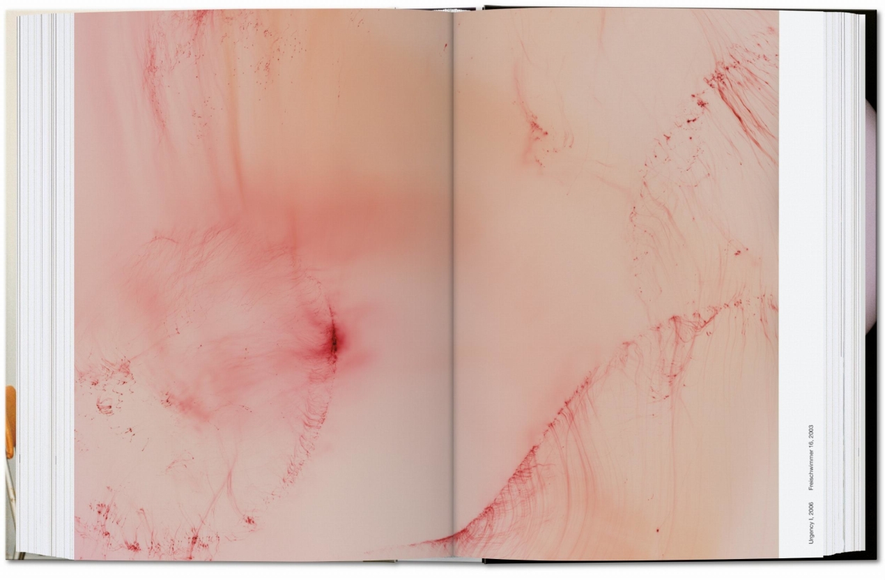 Wolfgang Tillmans. four books. 45th Ed. - Bild 8 von 12