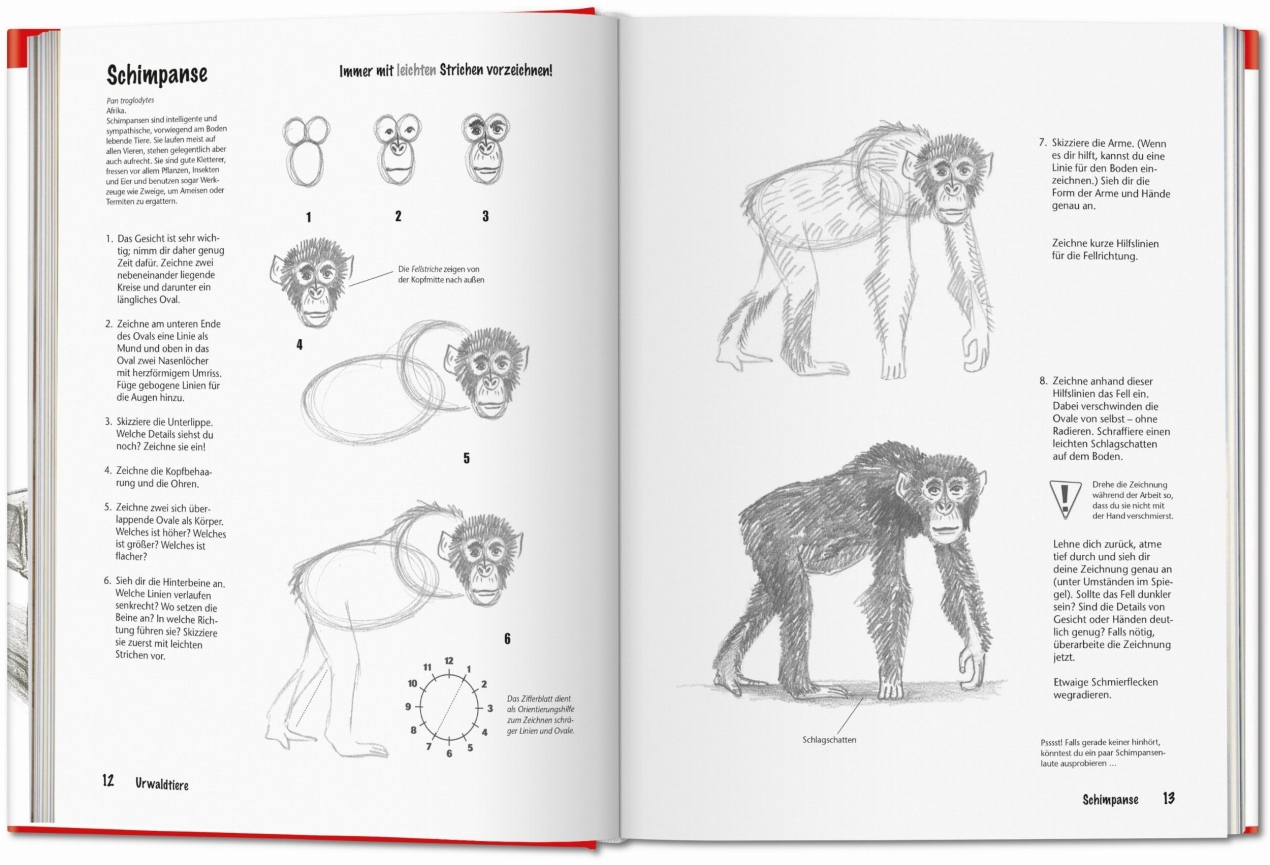 Drawing Step by Step, 2nd Ed. - Image 2 of 7