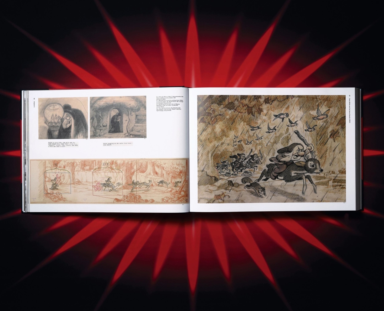 The Walt Disney Film Archives. The Animated Movies 1921–1968 - Image 15 de 28