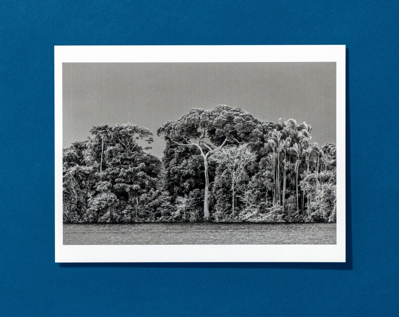 Sebastião Salgado. Amazônia. Postcard Set - Image 4 of 10