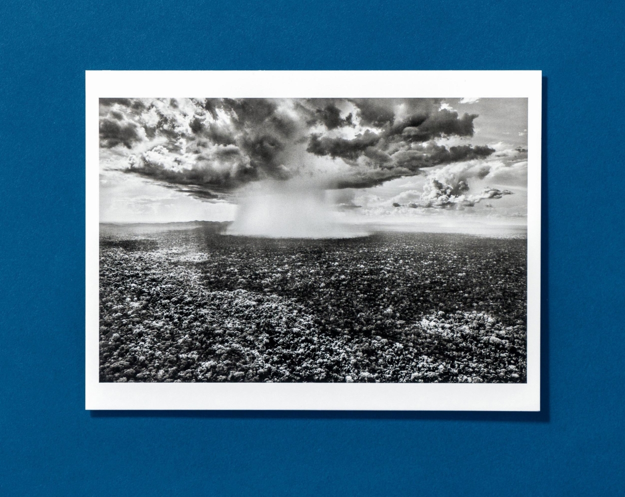 Sebastião Salgado. Amazônia. Postcard Set - Image 6 of 10