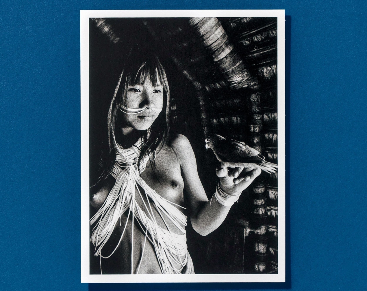 Sebastião Salgado. Amazônia. Postcard Set - Image 8 of 10