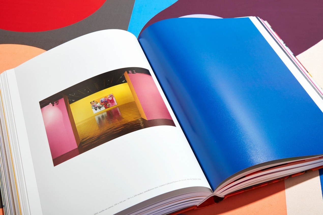 Beatriz Milhazes - Immagine 22 di 26