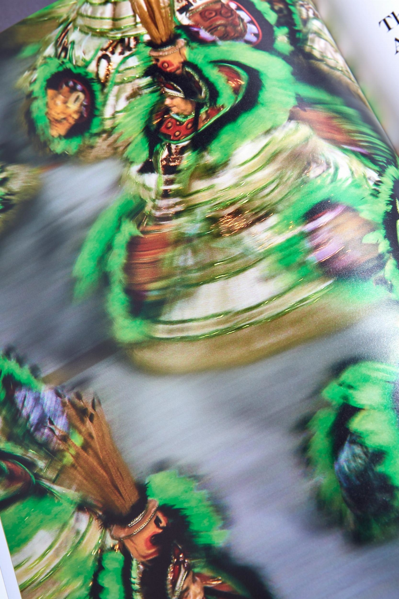 Beatriz Milhazes - Immagine 26 di 26