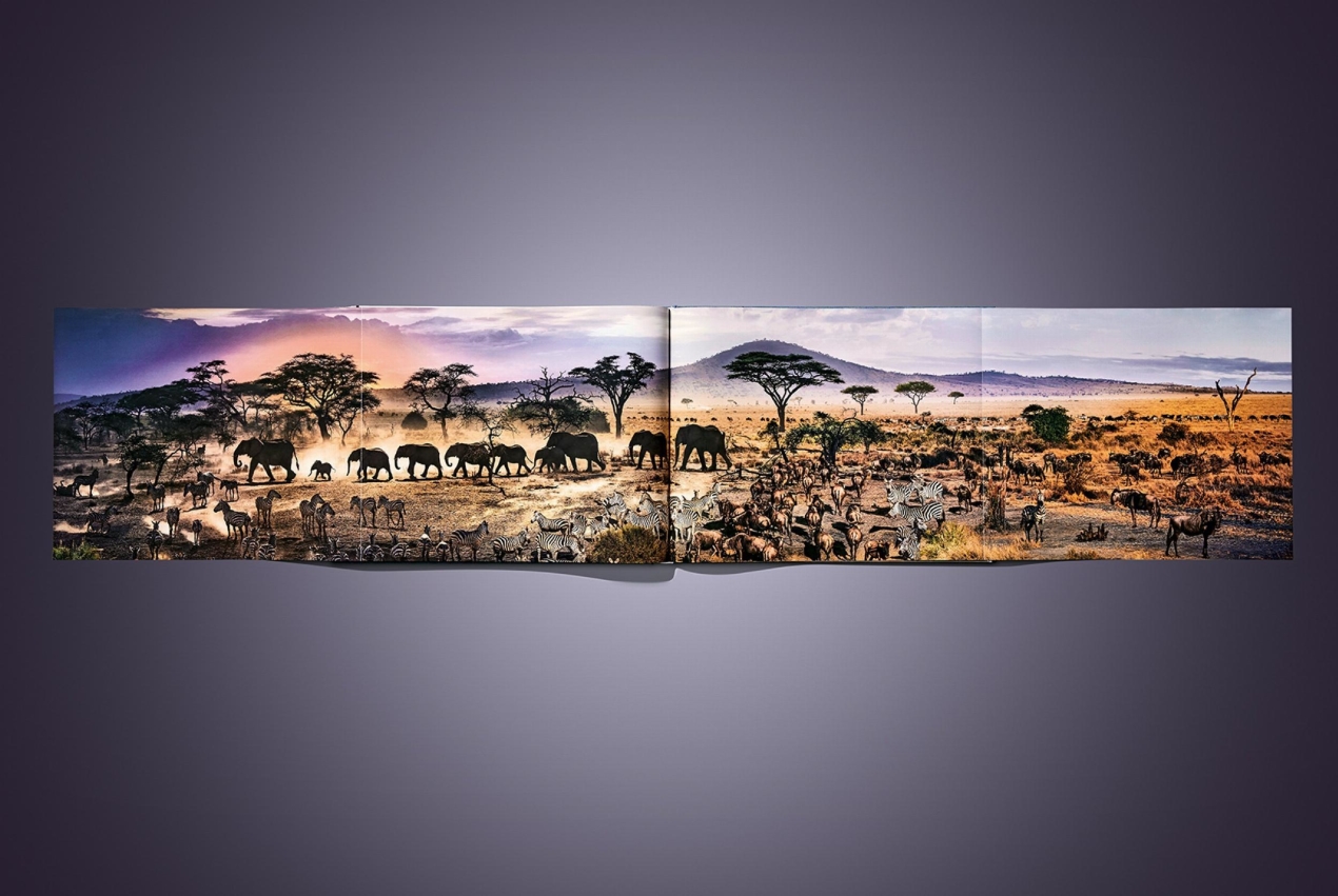 Stephen Wilkes. Day to Night. Art Edition A, 'Brooklyn Bridge, New York City, 2016' - Immagine 16 di 18