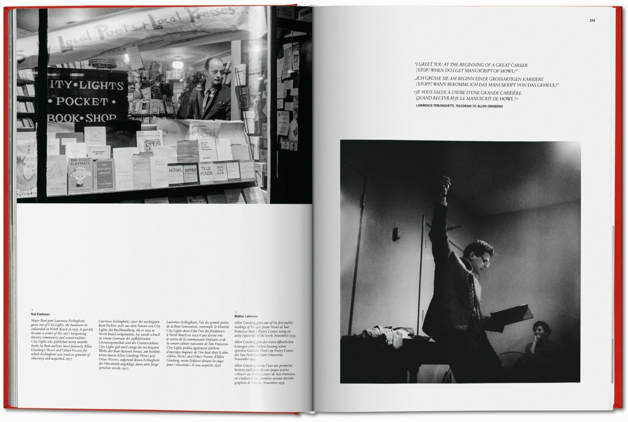 San Francisco. Portrait of a City, Art Edition No. 76–150 'Seagull over Golden Gate Bridge, early 1950s' - Bild 8 von 16