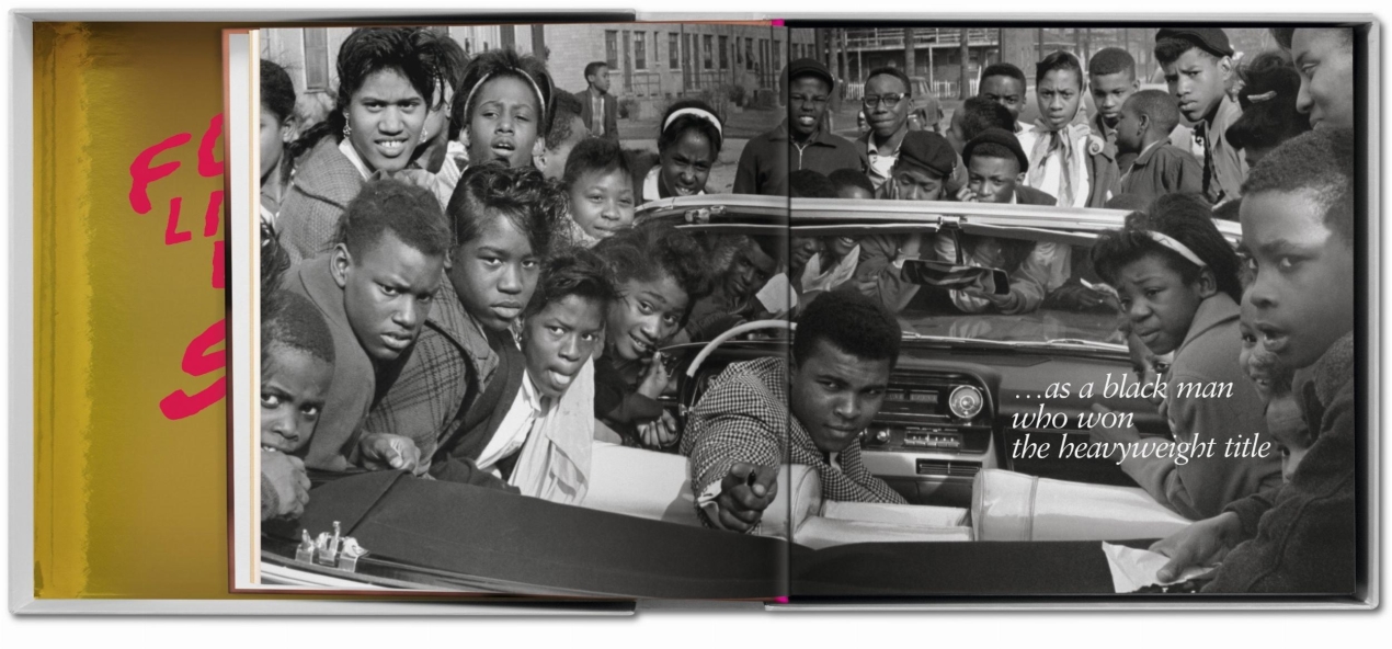 GOAT SUMO - Immagine 5 di 15