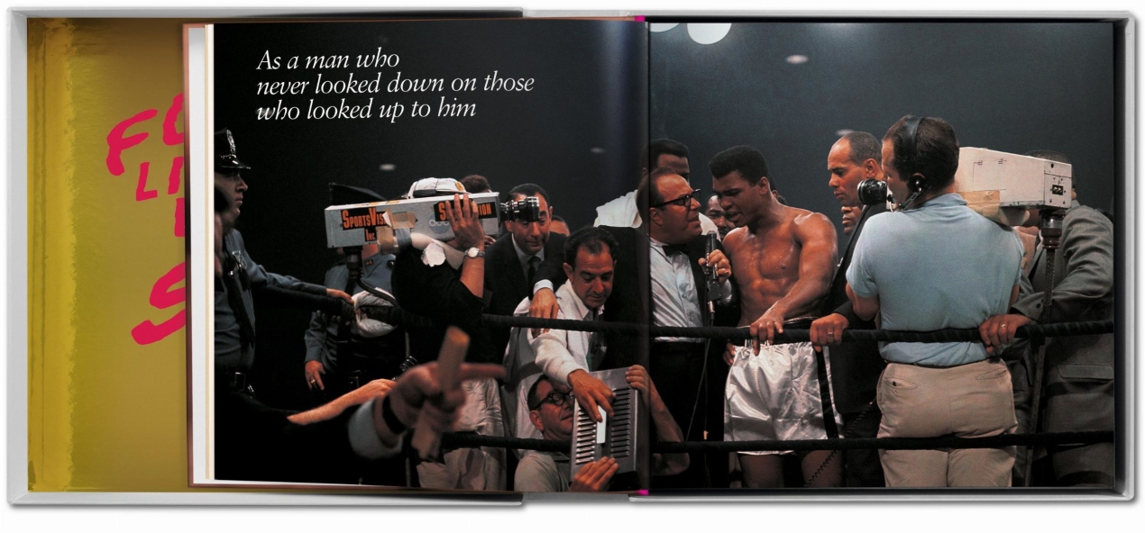 GOAT SUMO - Immagine 8 di 15