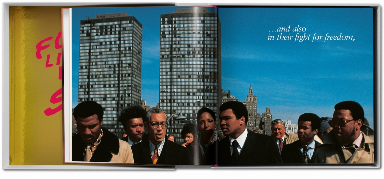 GOAT SUMO - Immagine 10 di 15