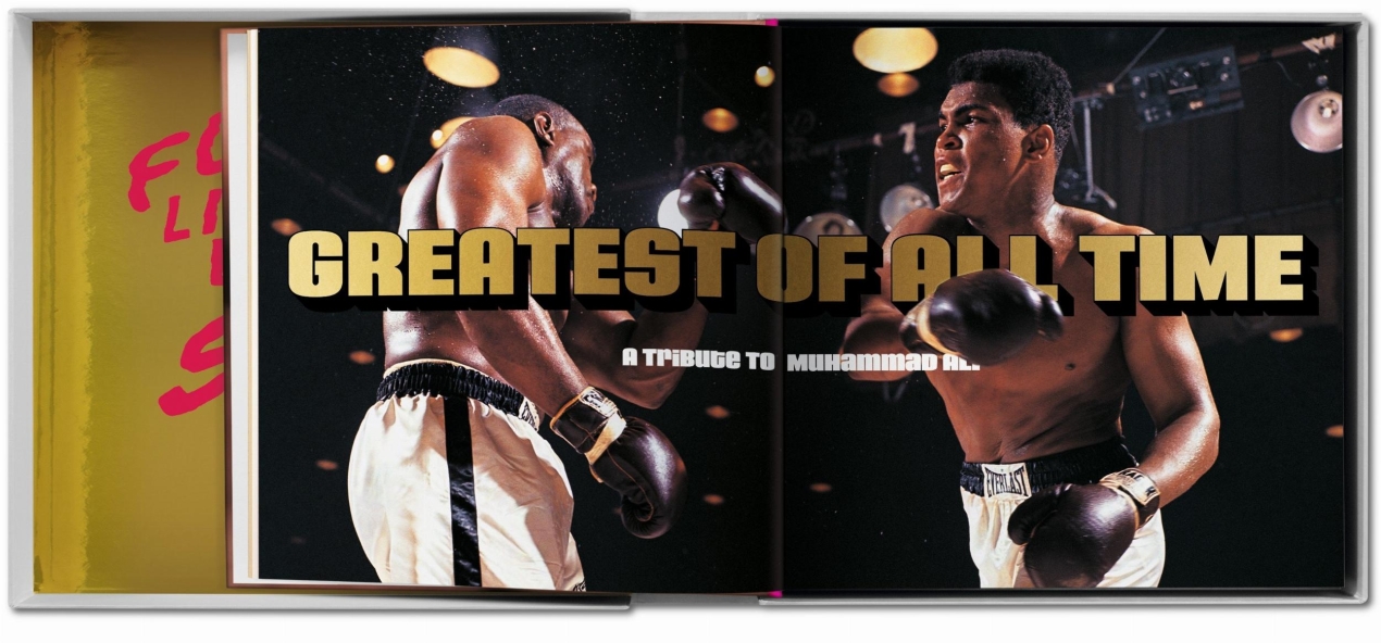 GOAT SUMO - Immagine 12 di 15