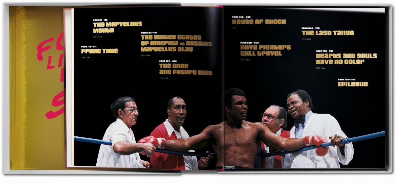 GOAT SUMO - Immagine 13 di 15