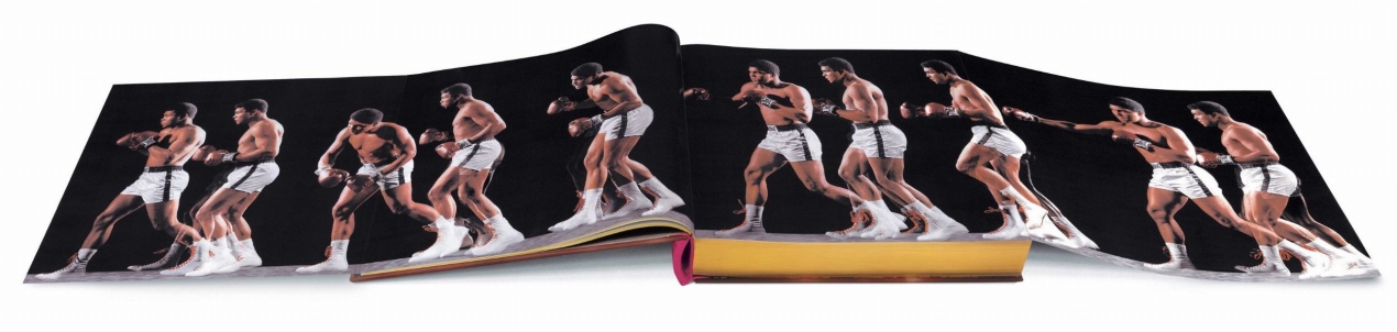 GOAT SUMO - Immagine 15 di 15