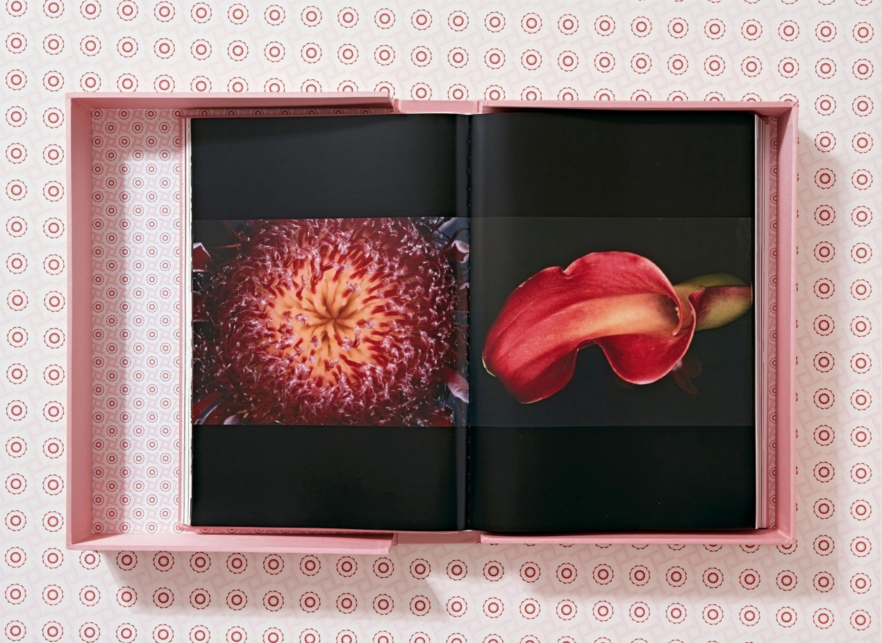 Araki - Image 6 of 16