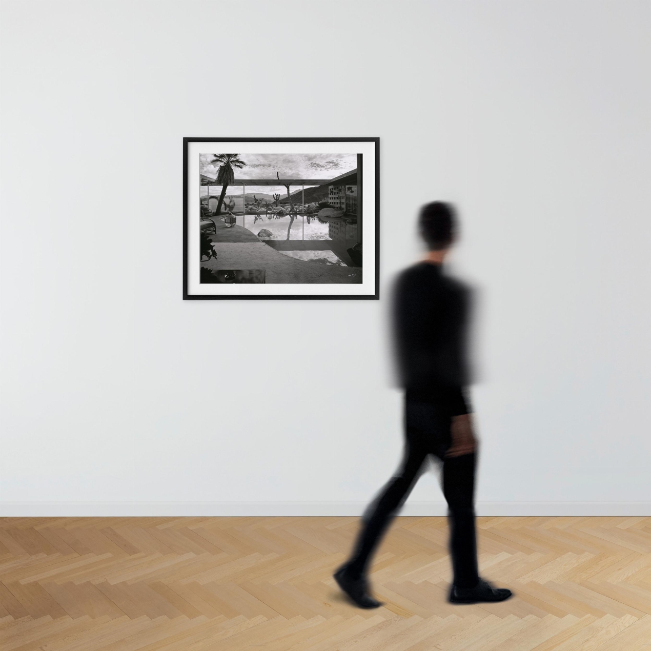 Julius Shulman. 'Frey, Loewy House, Palm Springs' - Immagine 3 di 3