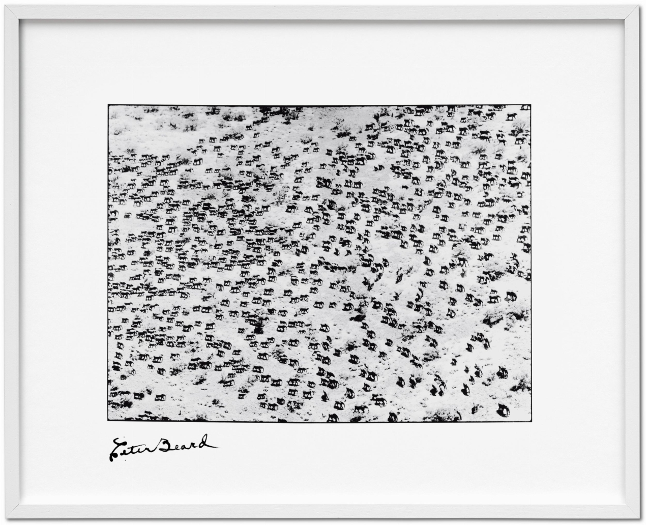 Peter Beard, Art Edition No. 126–250 ‘965 Elephants’ - Image 2 of 11