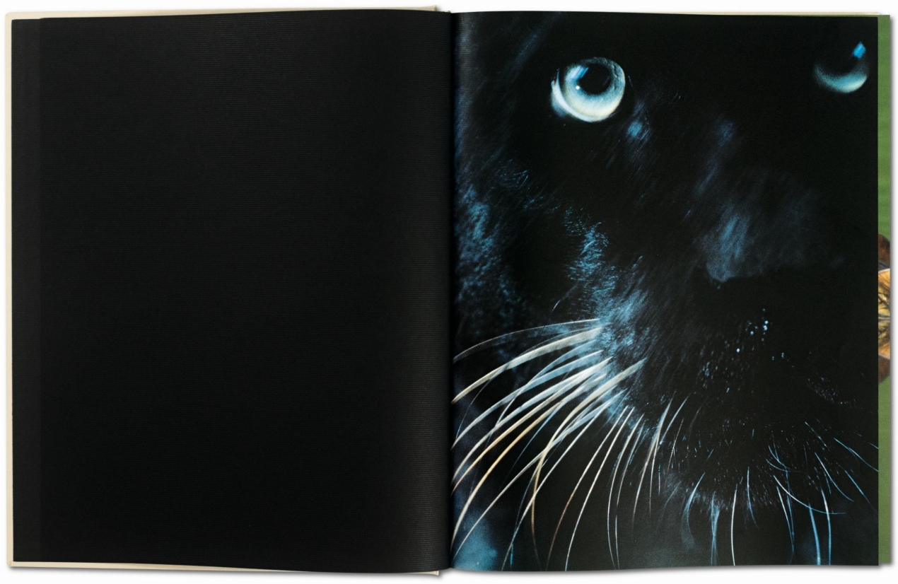 Frans Lanting. Face à face - Image 2 de 9