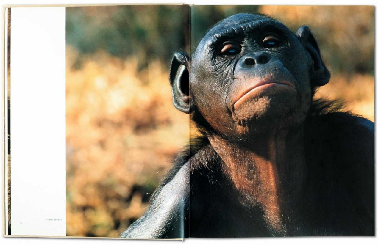 Frans Lanting. Face à face - Image 3 de 9