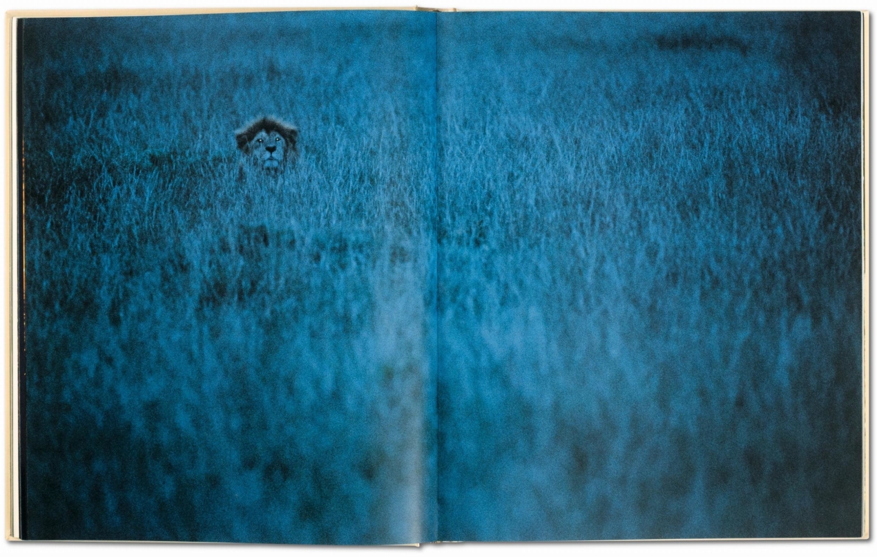 Frans Lanting. Face à face - Image 4 de 9