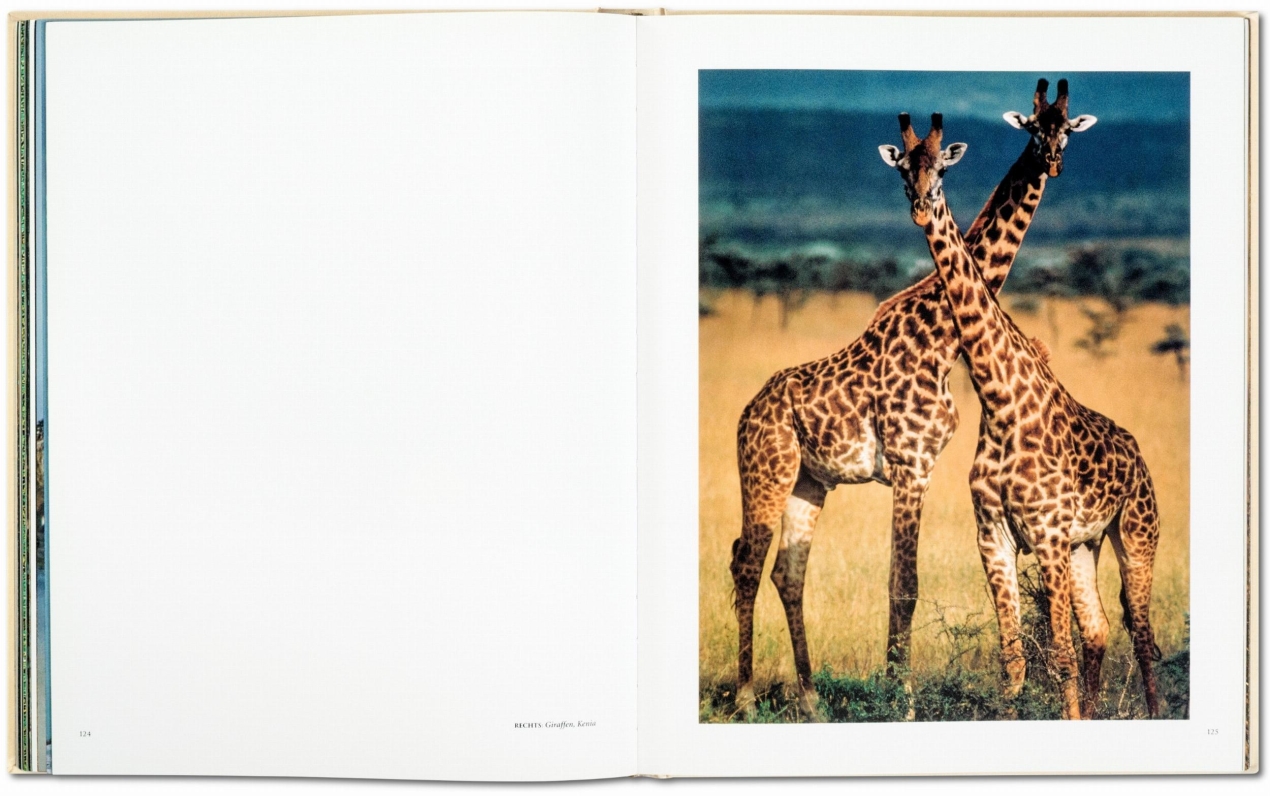 Frans Lanting. Face à face - Image 6 de 9