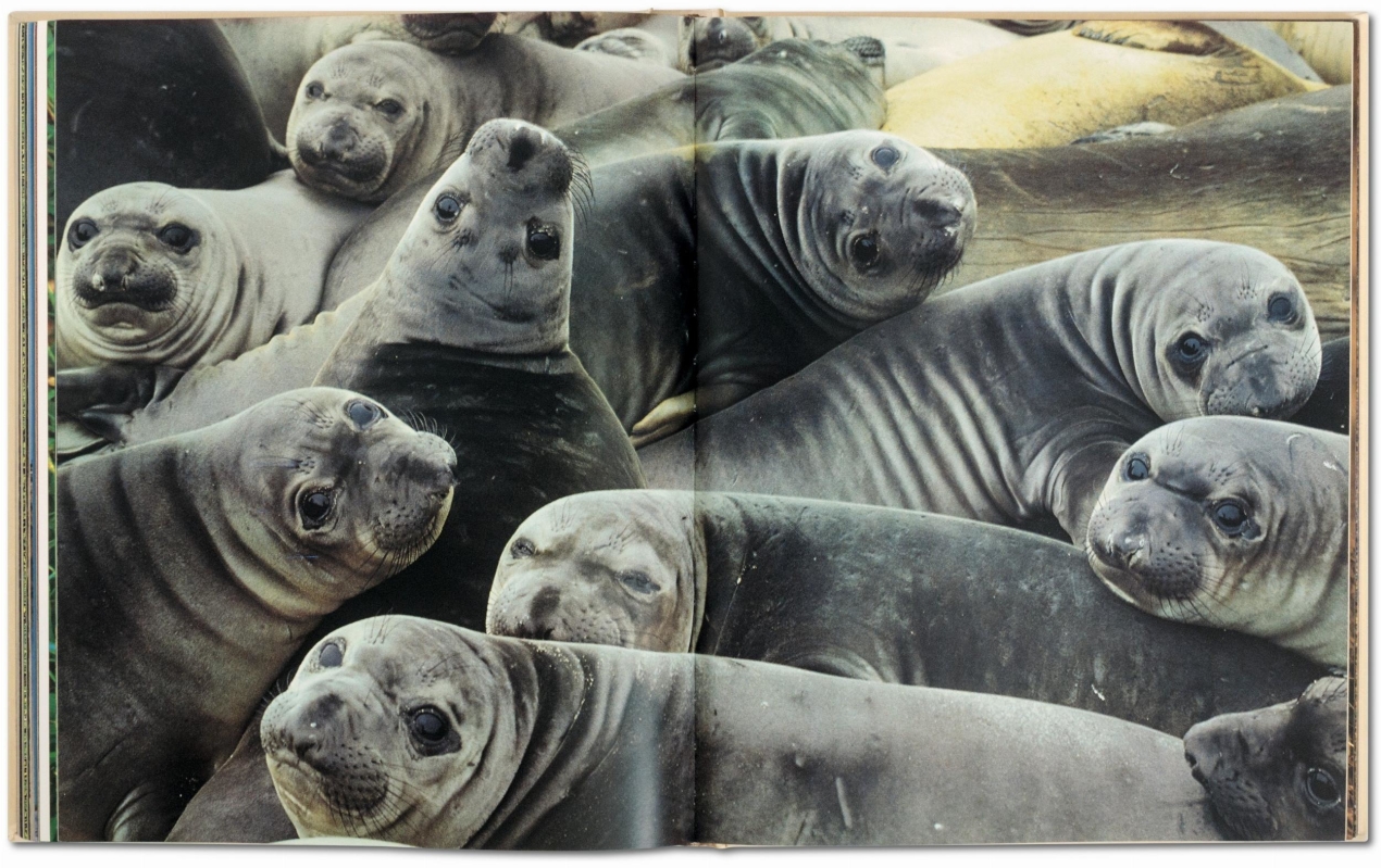 Frans Lanting. Face à face - Image 7 de 9