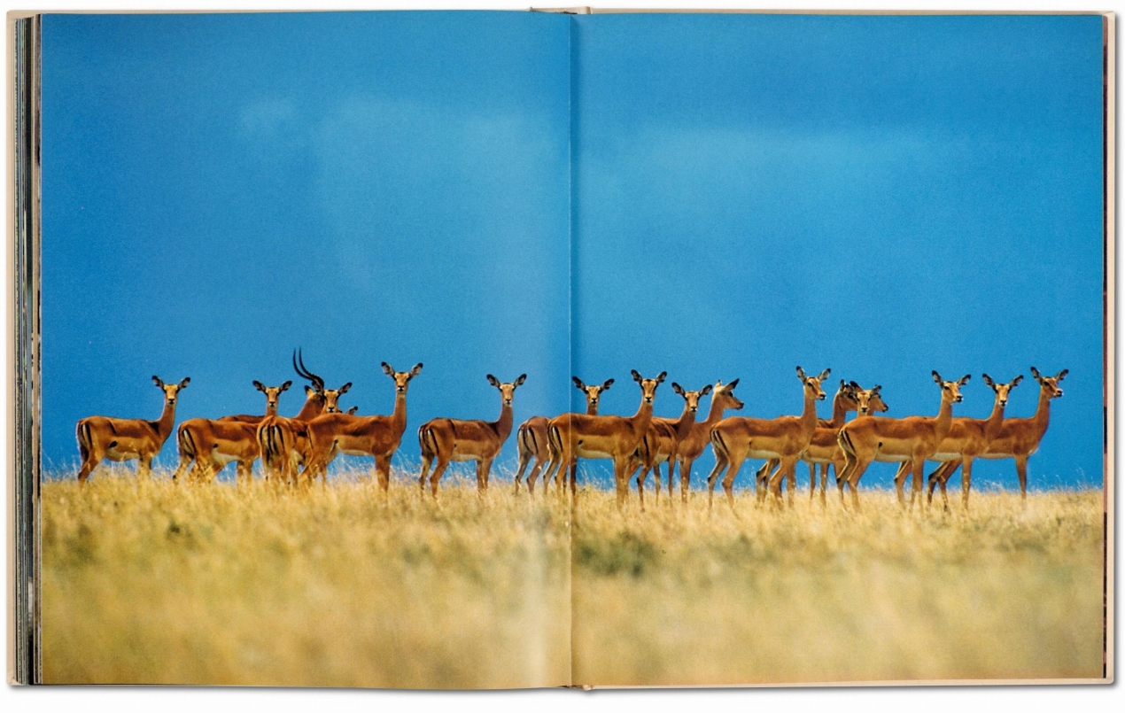 Frans Lanting. Face à face - Image 8 de 9