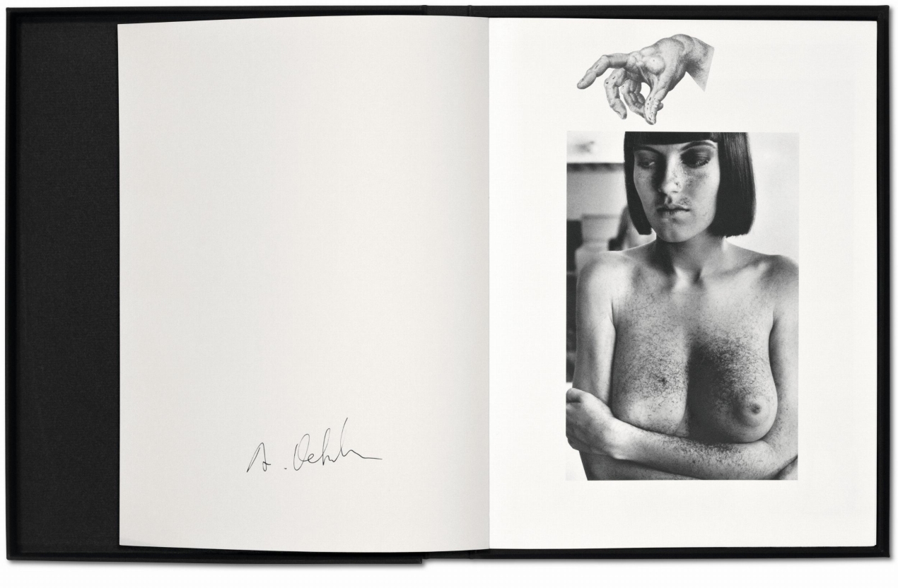 Albert Oehlen - Immagine 3 di 9