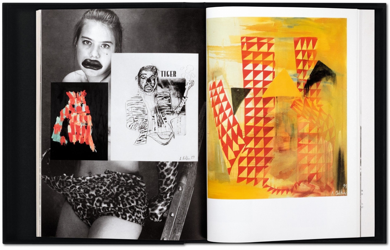 Albert Oehlen - Immagine 8 di 9