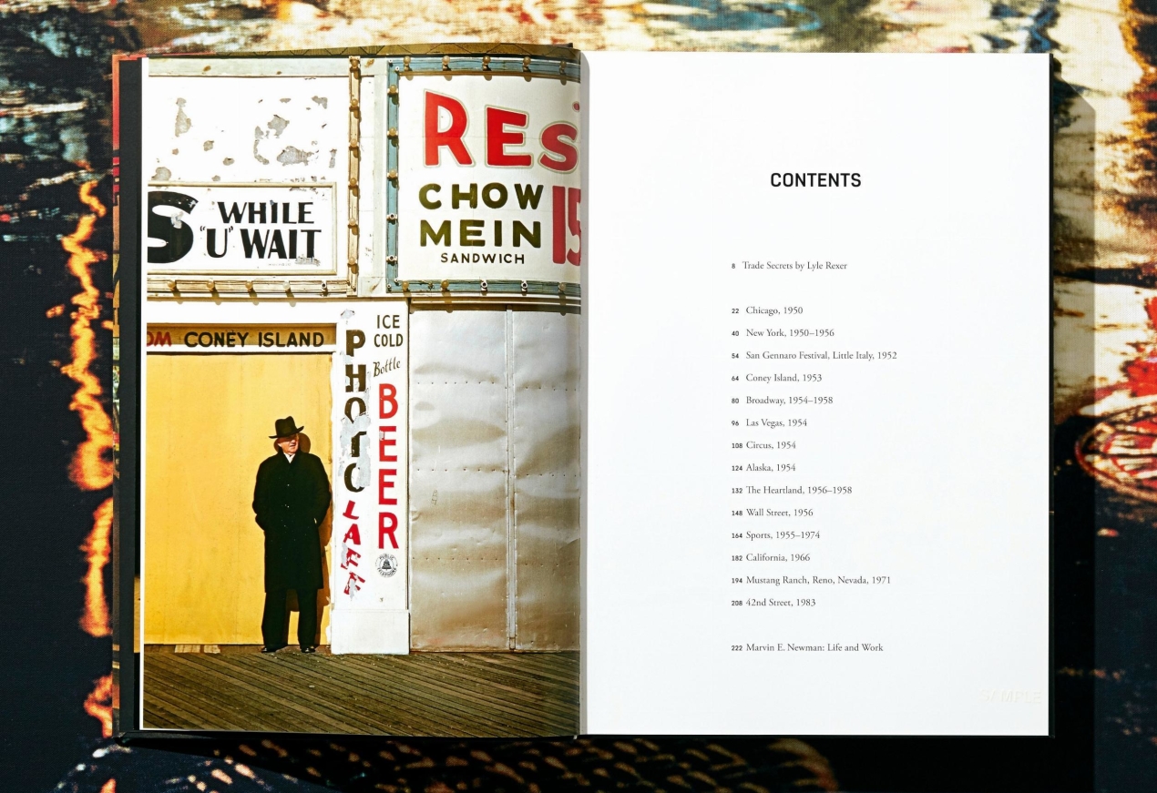 Marvin E. Newman. Art Edition No. 226–300 ‘42nd Street, 1983’ - Bild 6 von 23