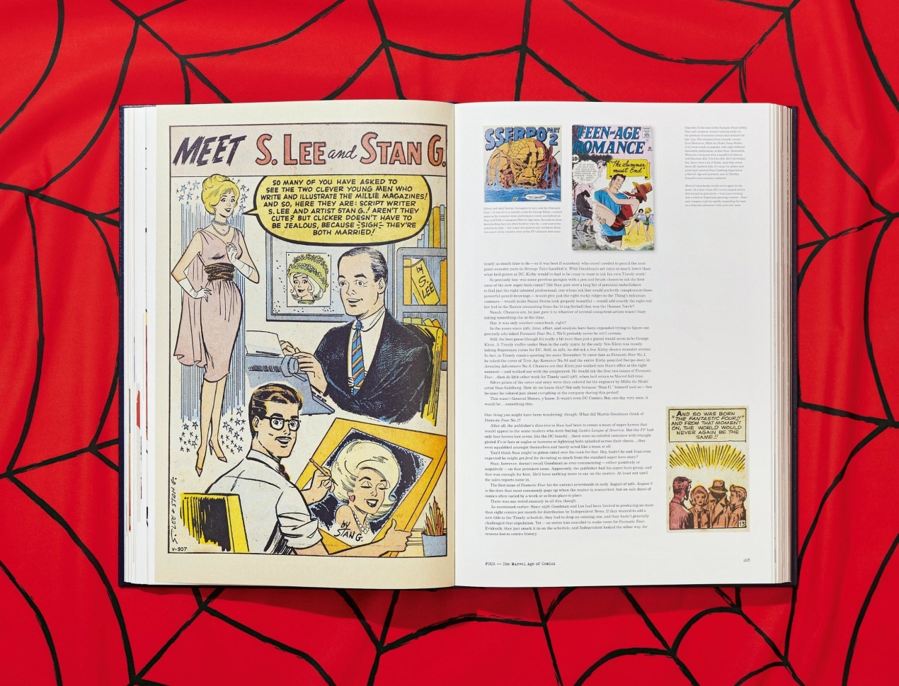 The Stan Lee Story - Image 14 de 37