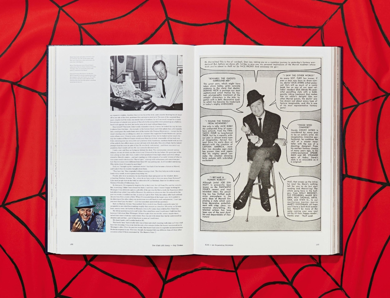 The Stan Lee Story - Image 18 de 37