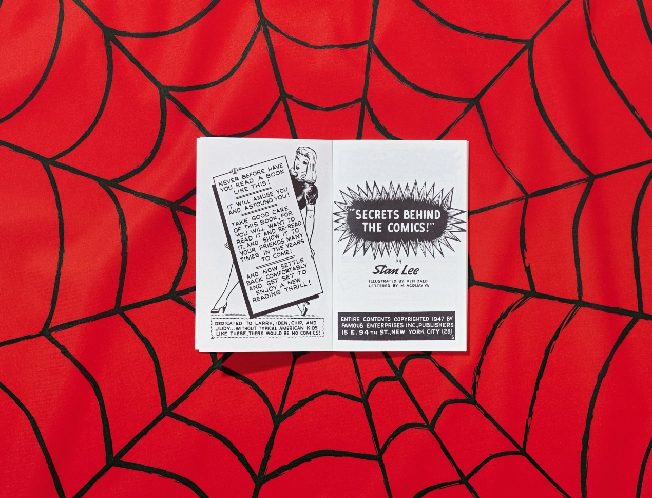 The Stan Lee Story - Image 32 de 37