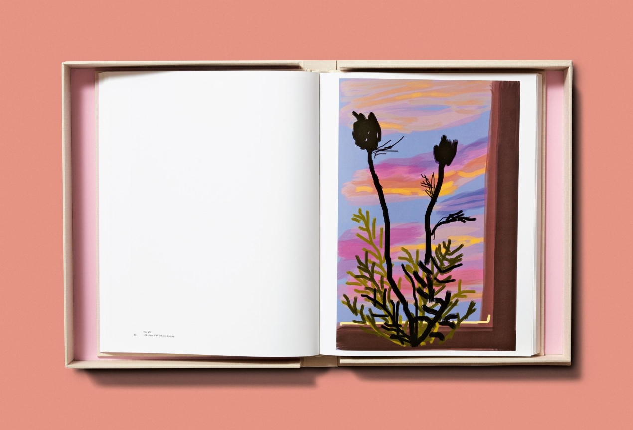 David Hockney. My Window, Art Edition No. 1–250 ‘28th June 2009’ - Immagine 8 di 25